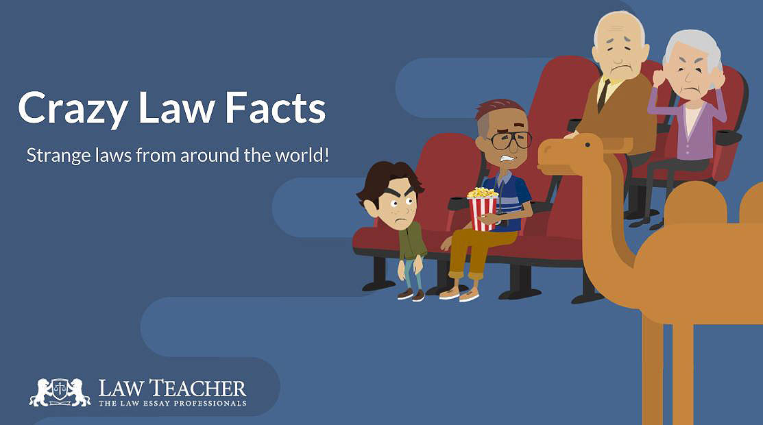 Crazy Law Facts | Law Teacher